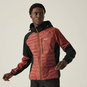Regatta Mens Pro Hybrid Softshell Jacket Mild Day Outfit