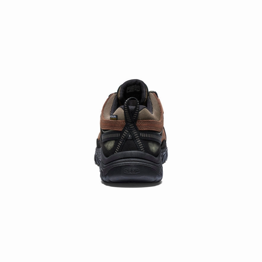 Men's Targhee IV Waterproof Hiking Shoe  |  Bison/Black Grip Power Art Fair