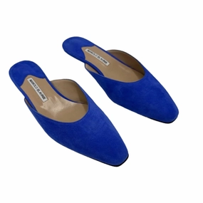 New!  Manolo Blanik Luxury Designer Shoes, Size: 10 (40) Clean Style
