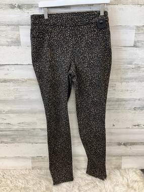 vivid color Slimming Comfort Pants Leggings By Chicos In Black & Brown, Size: S
