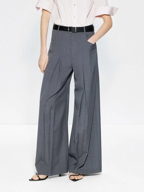 Pleated Detail Wide Leg Pants Adaptable Design