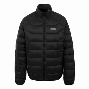 Friction Reducing Lining New Cut Regatta Mens Dalent Lightweight Padded Jacket