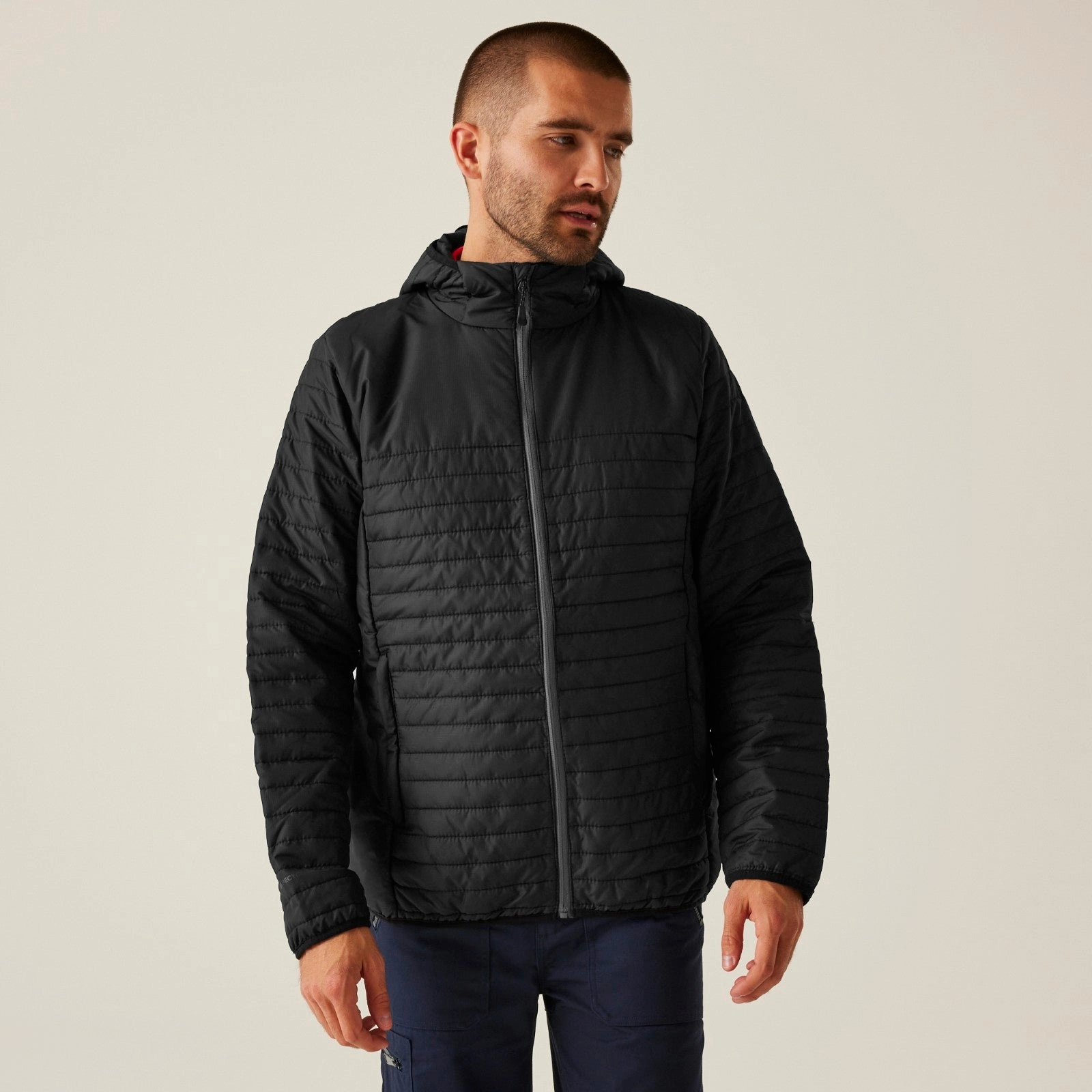 Seamless Street Fit Windproof Inner Layer Regatta Professional Mens Honestly Made Thermal Padded Jacket