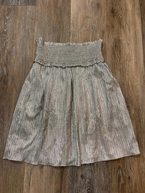 Must Have Feature Street Edge Skirt Designer By Alc In Silver, Size: 4