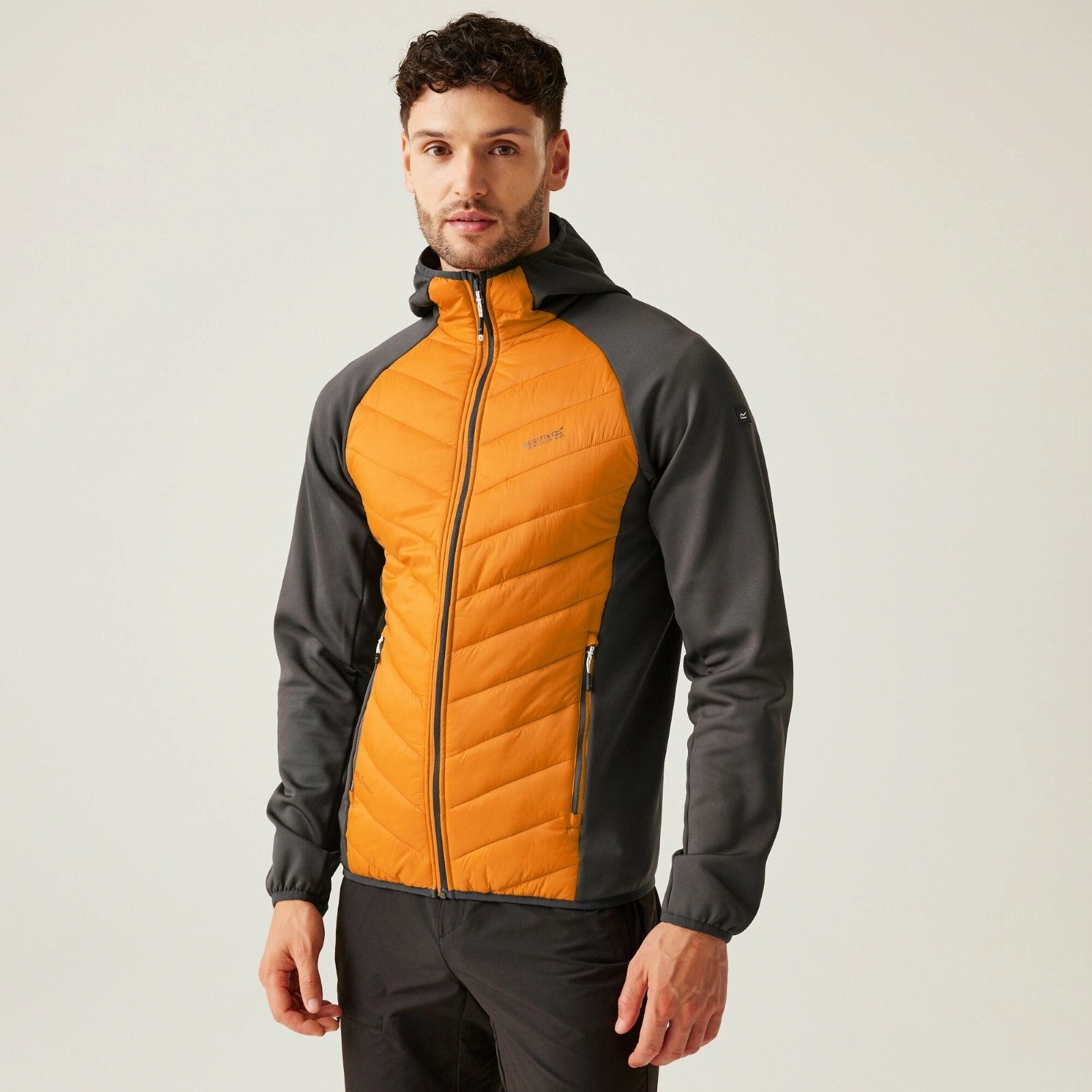 Regatta Mens Andreson VIII Hybrid Lightweight Softshell Jacket Thick Insulation Outdoor Adventure Wear